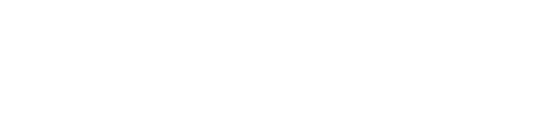 Logo preview